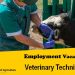 Job Vacancy 2023 Veterinary Technician
