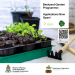 Backyard Garden Programme – Launch July 31 – August 30