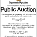 Public Auction on Saturday July 12